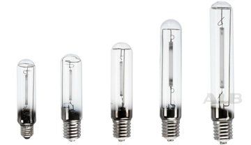 ���� ����� ��������� ������������� St