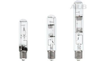 ��� ����� ���������������� St