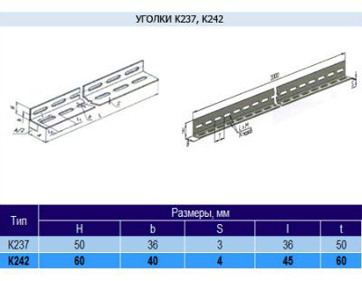 ������ �242