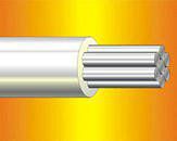 ������� ���������� � �������� ��������� ����� ��� �����������