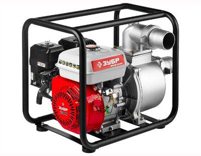 ��������� ���� ����-1000