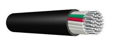 ������ �����