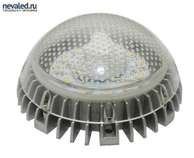 ������������ ���������� NL���� 12 W ��� �������