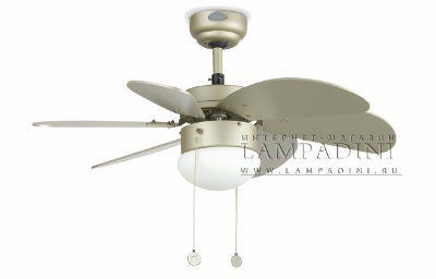 ������ - ���������� (���������� ���������� �� ������������) Palao Gris