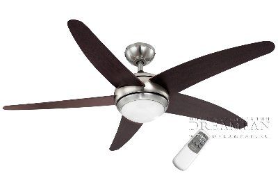 ������ - ���������� (���������� ���������� �� ������������) Globo Fabiola 0306