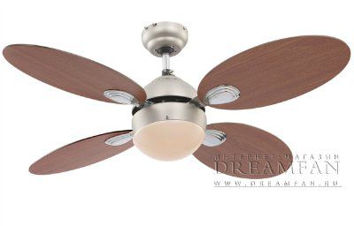 ������ - ���������� (���������� ���������� �� ������������) Globo Wade 0318