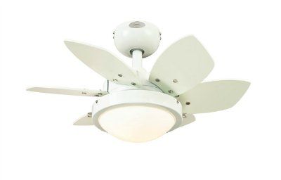 ������ - ���������� (���������� ���������� �� ������������) Quince White