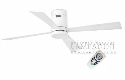 ������ - ���������� (���������� ���������� �� ������������)  Timor