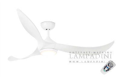 ������ ���������� Bahamas