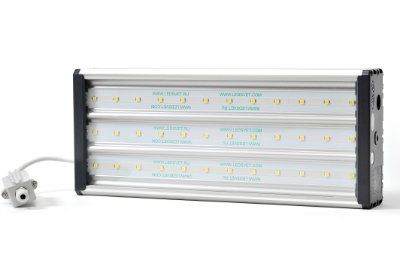 ������� ������������ ����������� ���-48, �����/�������/�������