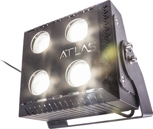 ���� �������� ����� �����-100