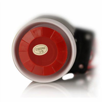 ������ �����������