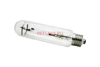 ����� ���� ����� 50