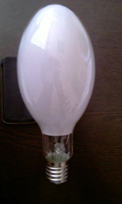 ����� ������ ������������  ���