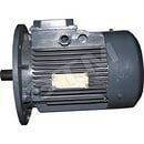 ���������������� ��� 100L6 2,2/1000 ���.3081