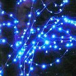 ������������ �������� ����� ���� (Clip Light)� VS-CL-666-100M-12V-Y/DG