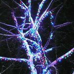 ������������ �������� ����� ���� (Clip Light)� VS-CL-666-100M-12V-RGB-F/DG