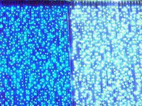 ������������ ������� ����� ���� (Led PlayLight)� VSCO-2030-2X3M-B/W