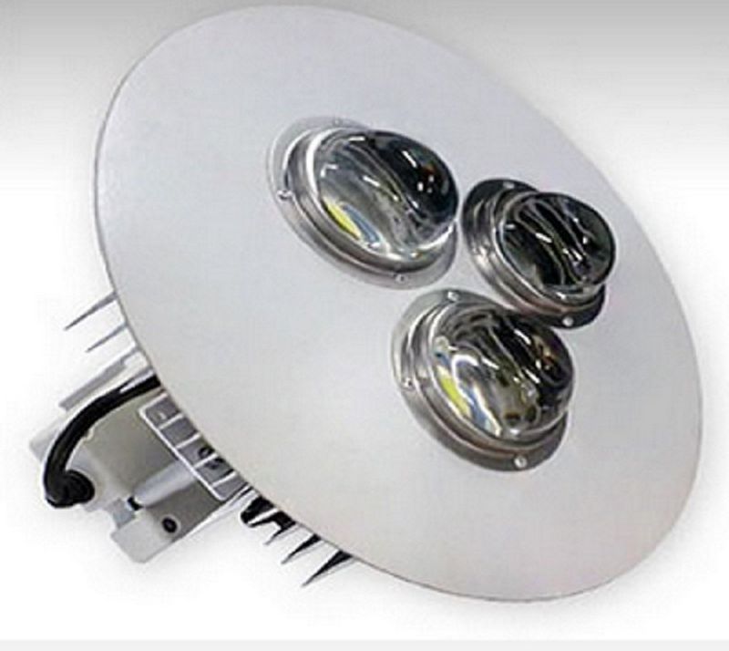 RS D251 ��������� ������������