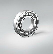 ��������� 1000096 ��