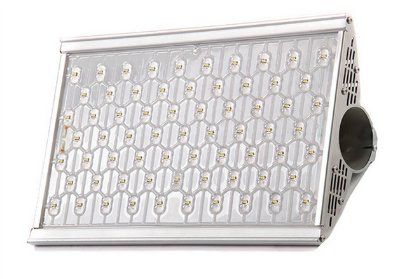 ������������ ���������� ��� 100 �������