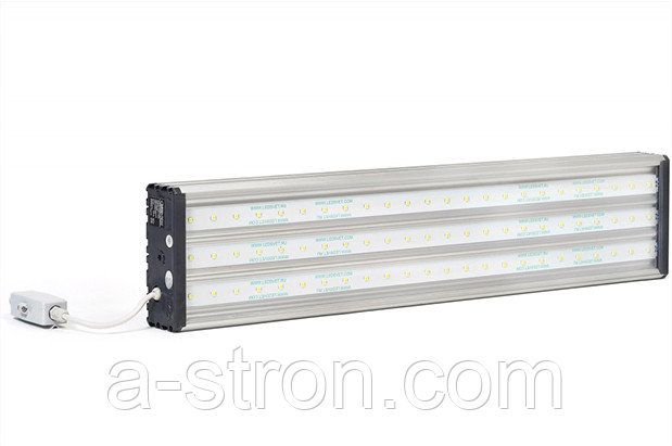 ��� 120 ��� ��������� ����������