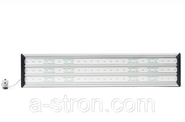 ��� 90 ��� ��������� ������������ ����������