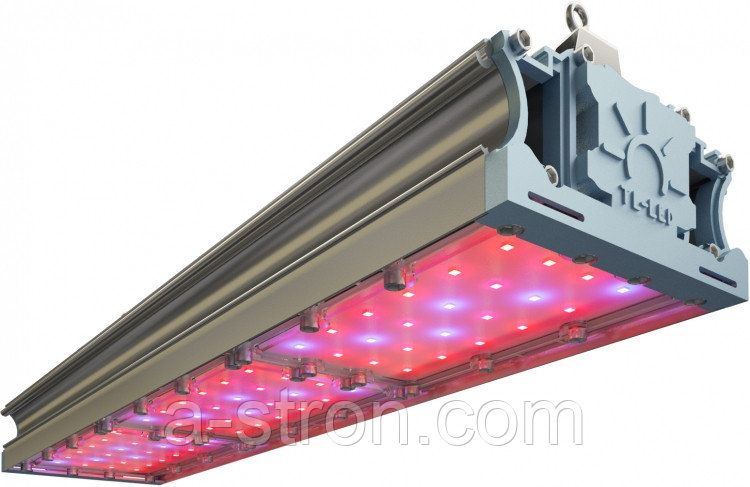 �������������� TL-PROM FITO 135 UN