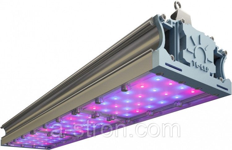 �������������� TL-PROM FITO 150 VR