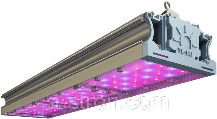 �������������� TL-PROM FITO 159 RS