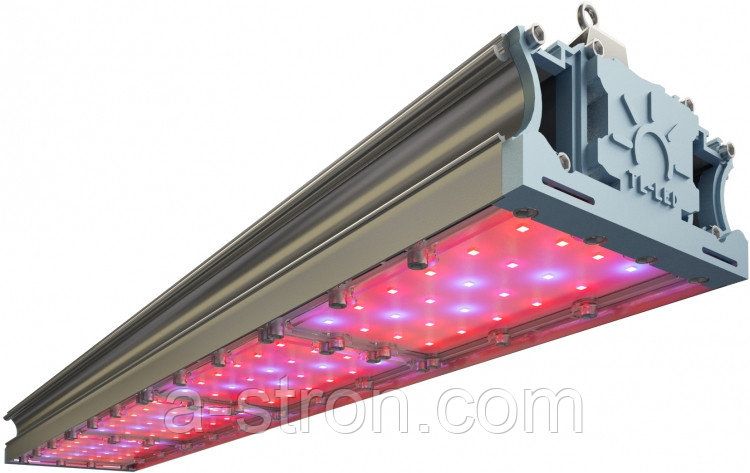 �������������� TL-PROM FITO 135 UN