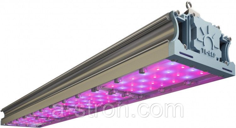 �������������� TL-PROM FITO 212 RS