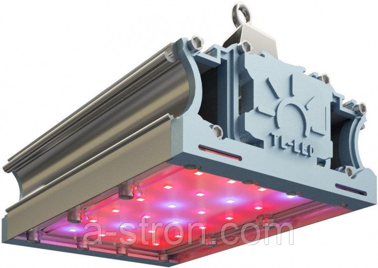 �������������� TL-PROM FITO 45 UN