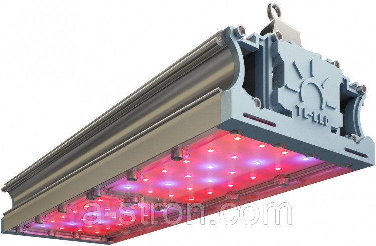 �������������� TL-PROM FITO 90 UN