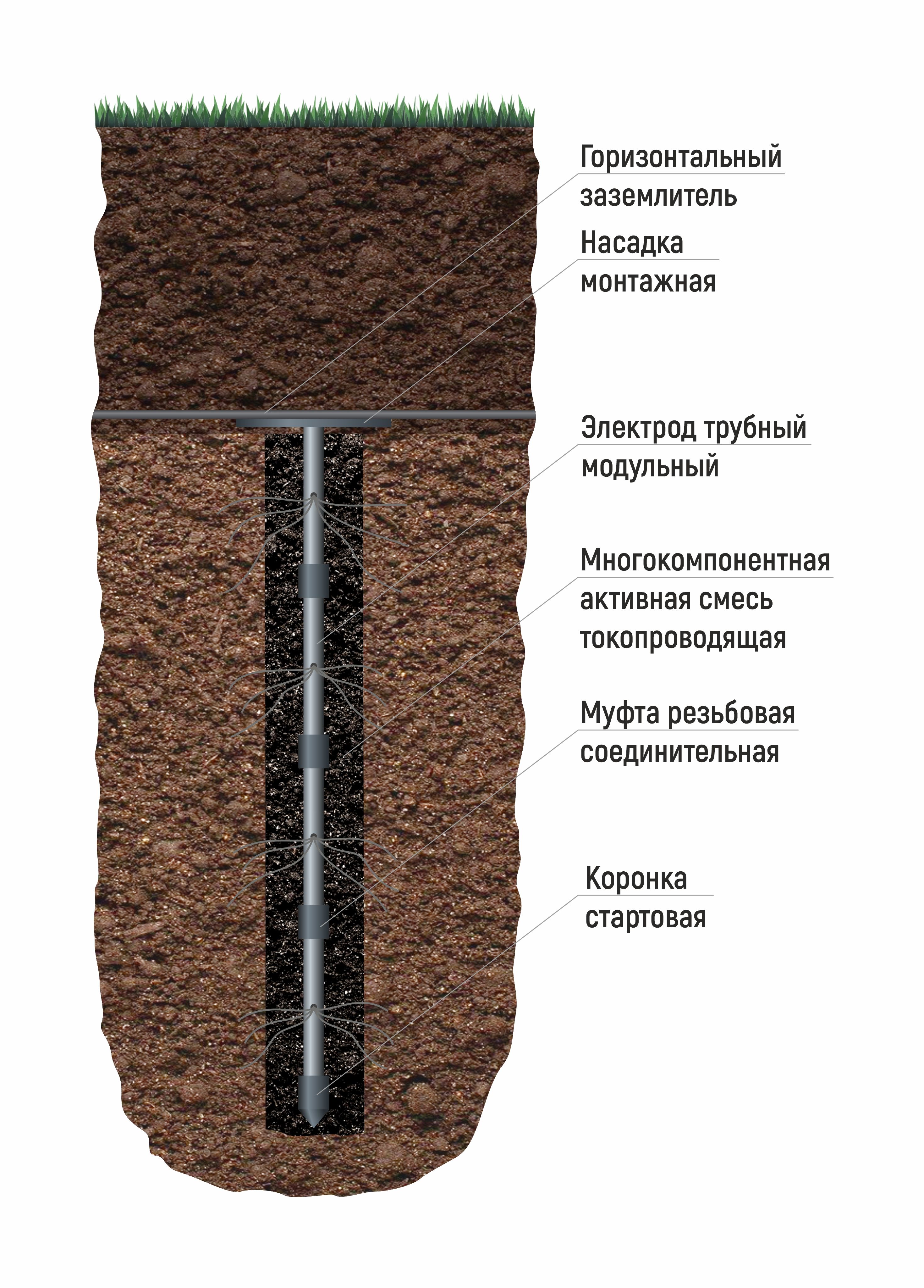 �������� ���������� �������� "�����"