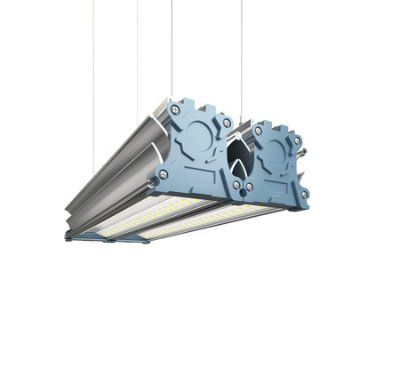 ������������ ���������� LED PROM RS-100