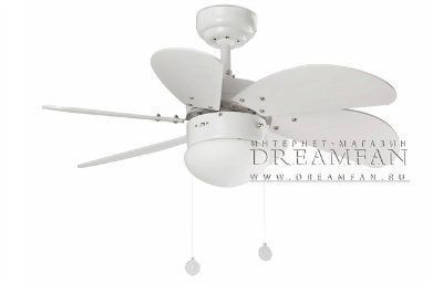 ������ - ���������� (���������� ���������� �� ������������) Palao Blanco