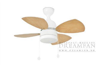 ������ ���������� Mediterraneo