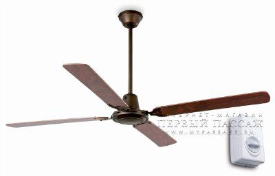 ���������� ���������� Malvinas Marron