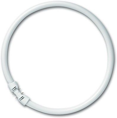 FC 55/ 830  2GX13 300mm (����� ����� 3000K) - ����� Osram 4050300528601