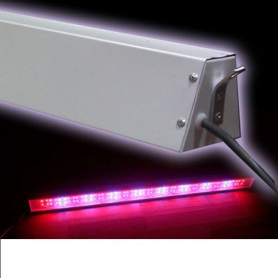 ������������ ���������� fito-30 ��� �������� � �������