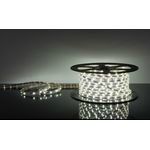 ������������ ����� �����