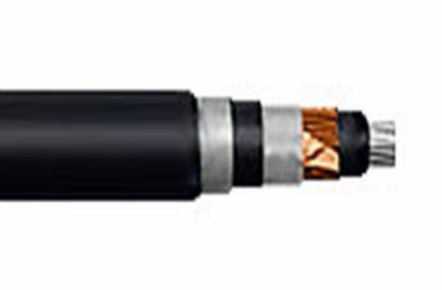 �����2� 1�300/70-10