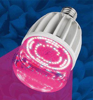 ��������� ��� �������� ������������ LED-A60 E27 20W