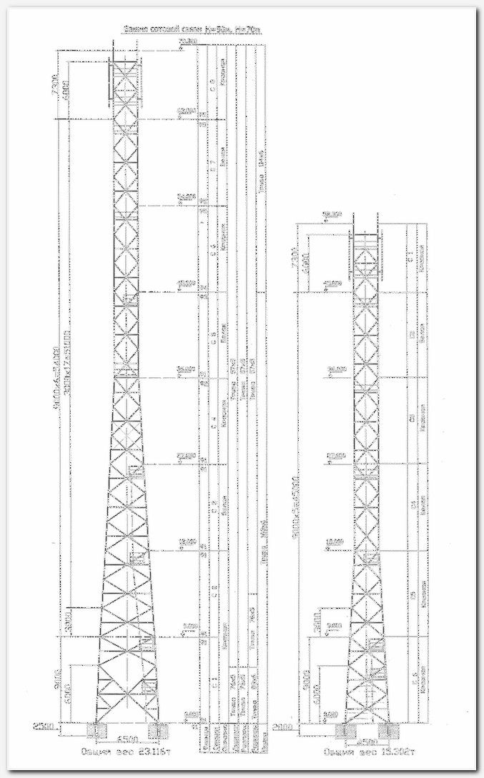 ����� ����� �81