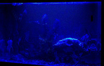 LED ���������� ��� ��������� AL600B