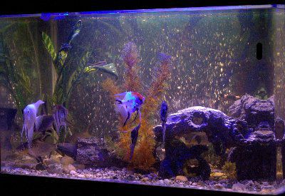 LED ���������� ��� ��������� AL600WB