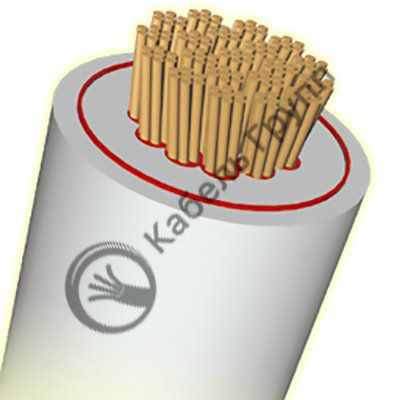 ������ ����� 6.6�� 120 ��2