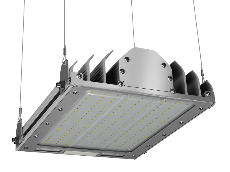 ���������� ���� ��� 100�� ��� �