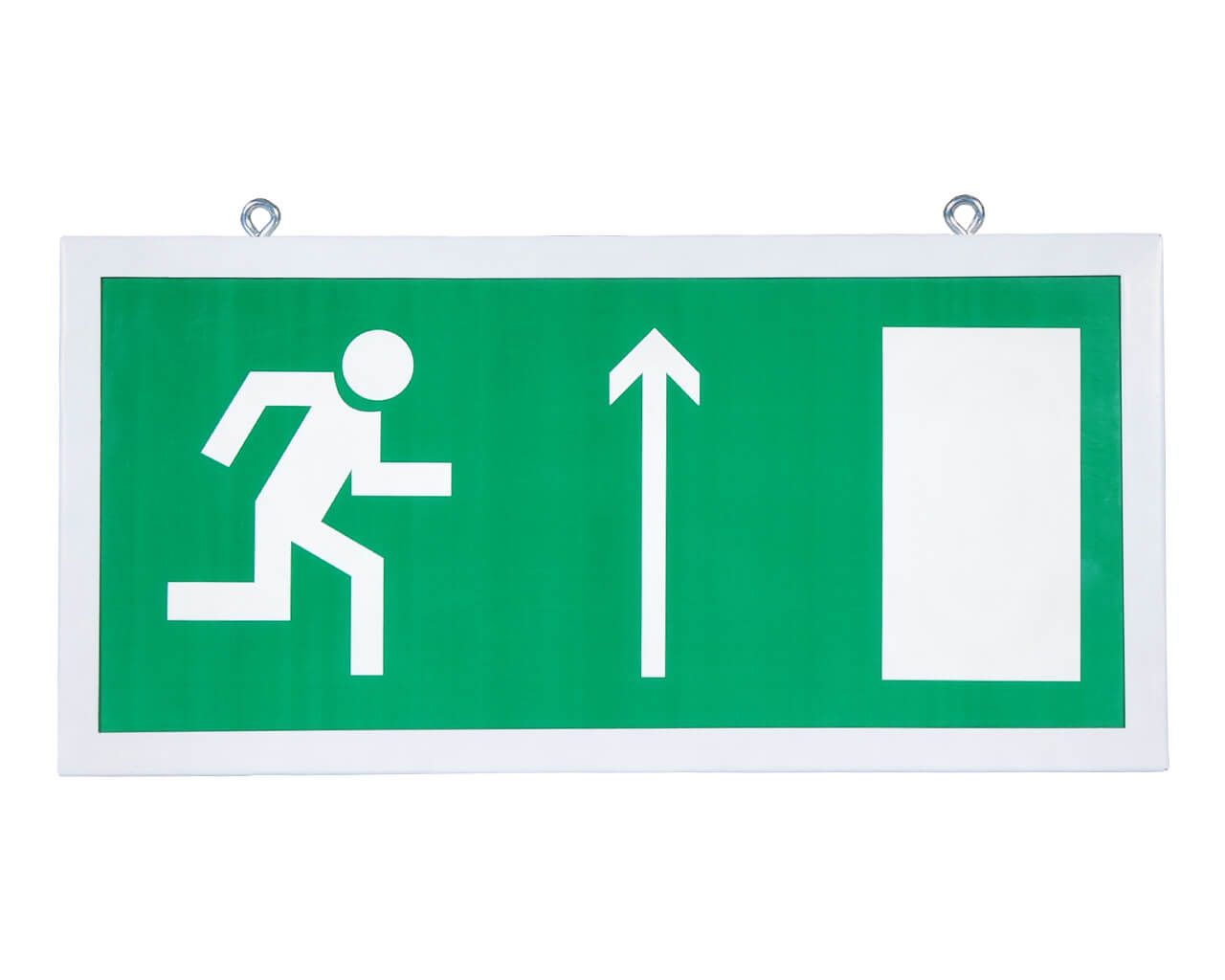 ������������ ������������� ��������� ����������� � ������ ����� ������ 320�150 �� SKE-SIP-E21-2020